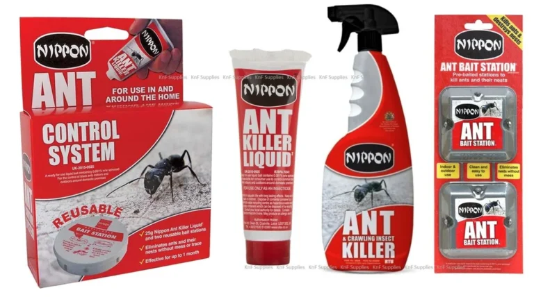 How To Get Rid Of Ants In The Kitchen: A Comprehensive Guide